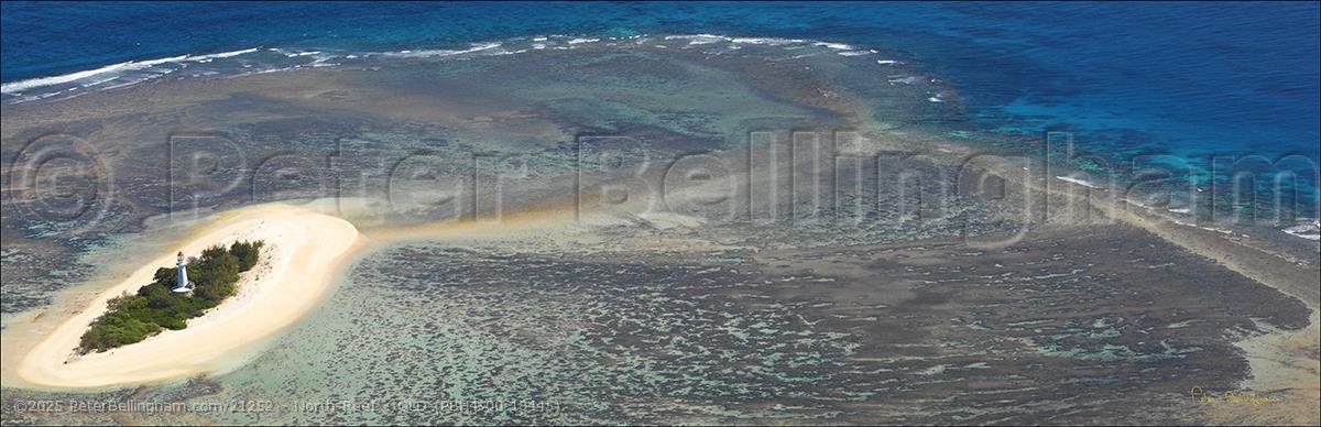 Peter Bellingham Photography North Reef - QLD (PBH4 00 18445)